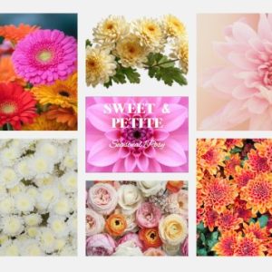 Sweet and Petite Seasonal Posy