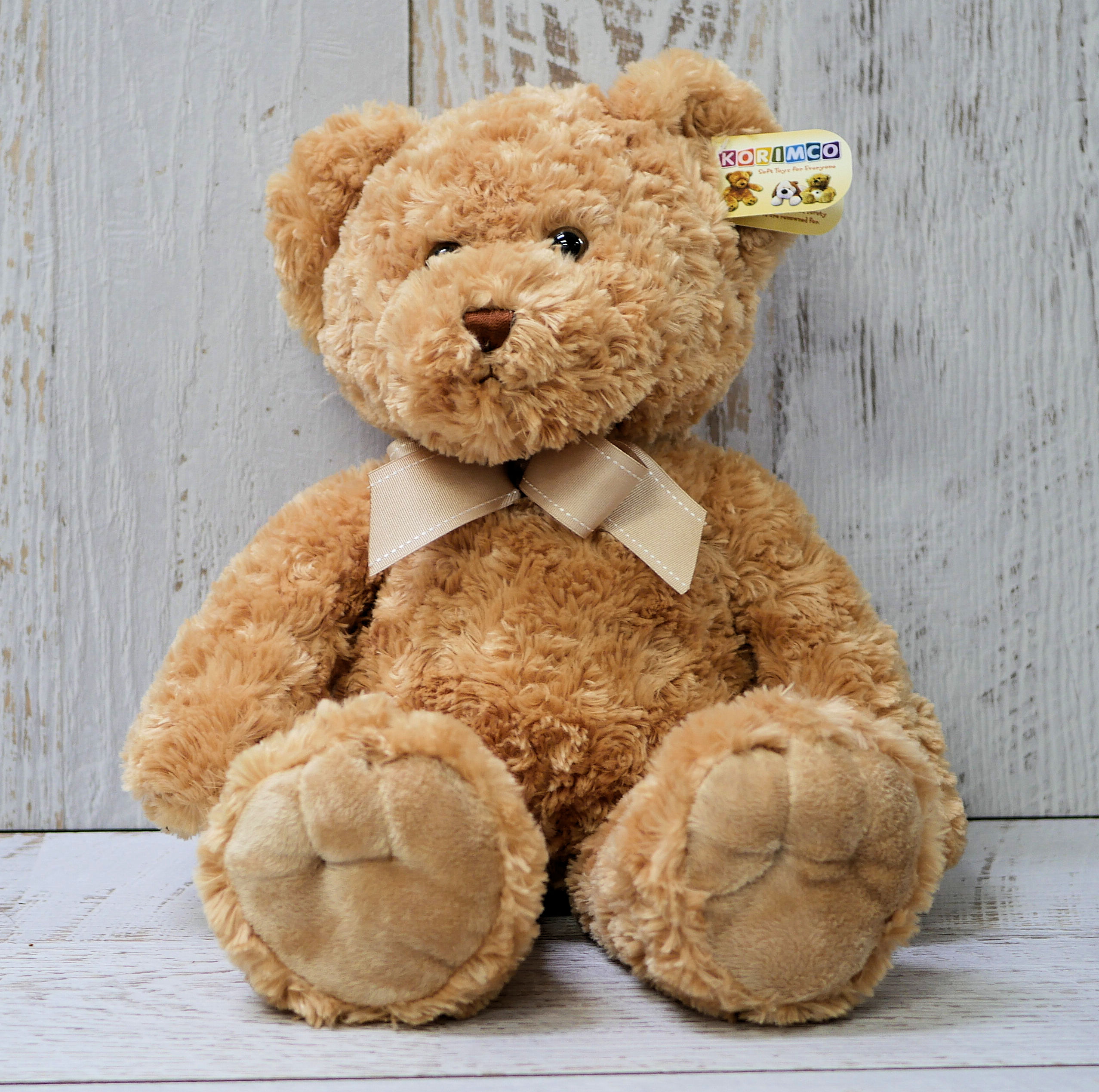huggable teddy bear