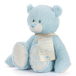 My First Teddy - 24cm Demdaco Blue