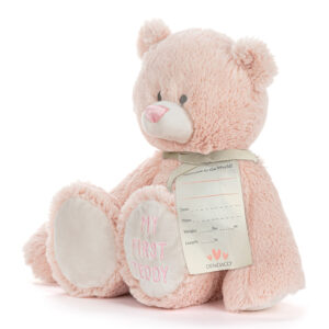 My First Teddy - 24cm Demdaco Pink
