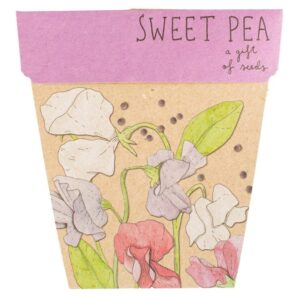 A Gift Of Seeds - Sweet Pea